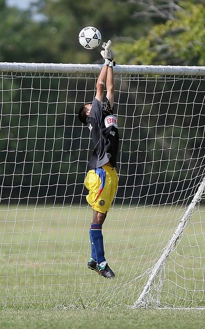 将成为值得 将成为值得